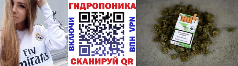 Купить где  Пенза  Шишки марихуана план 